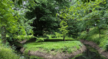 Hammond Arboretum National Garden Scheme Open Day