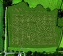 Wistow Maze